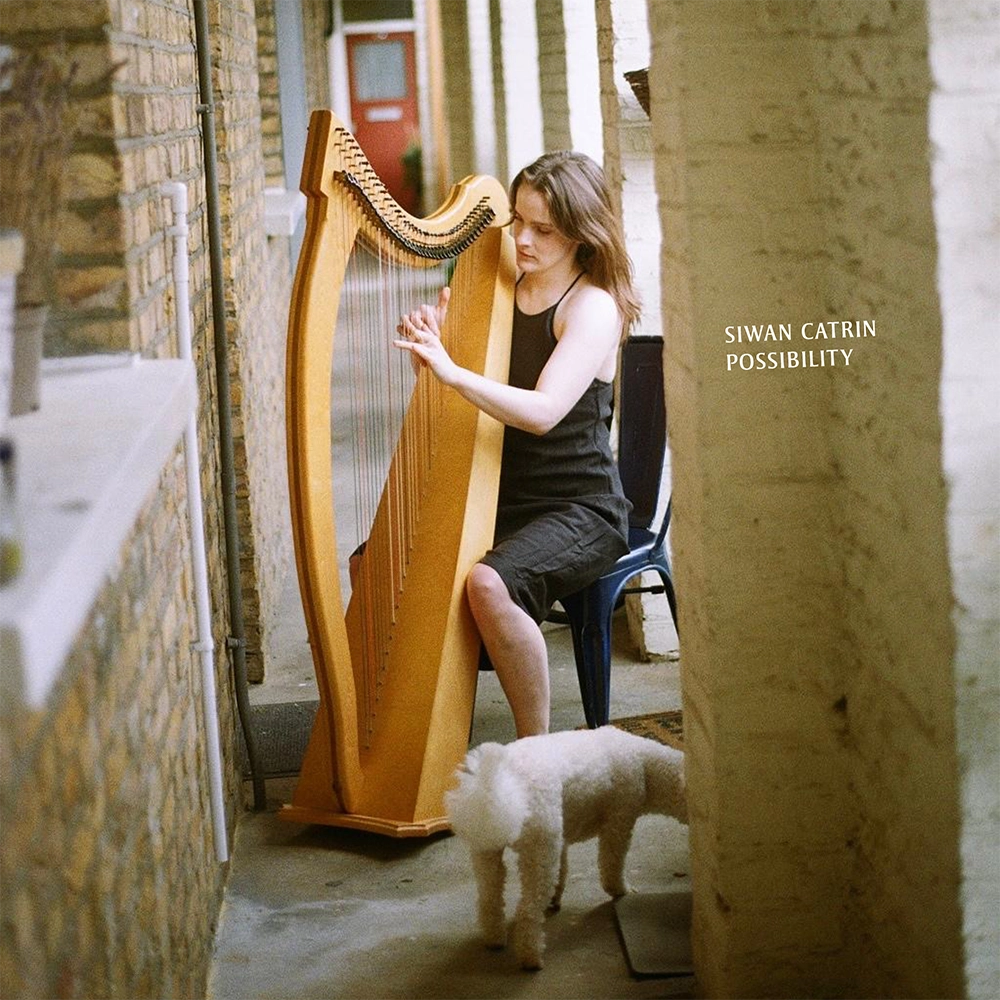 Cover of Siwan Catrin, Possibility